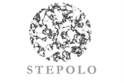 STEPOLO LLC